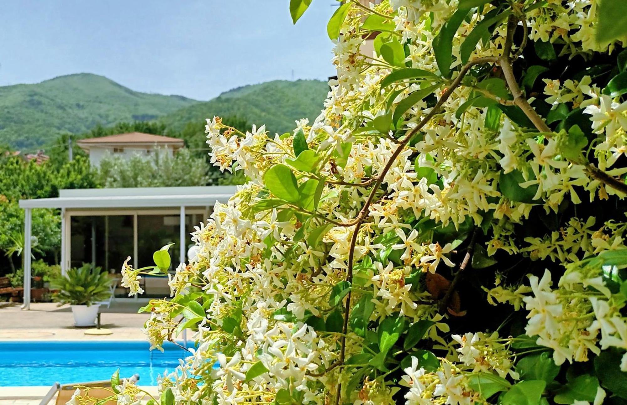 La Residenza Del Marchesato Bed and Breakfast Marano Marchesato Eksteriør billede